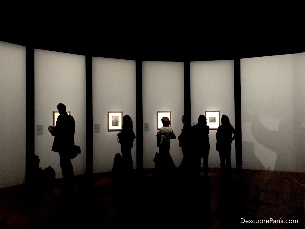 Exposición de Leonardo Da Vinci en el Louvre, aquí vemos algunos dibujos de Da Vinci iluminados y con un fondo gris